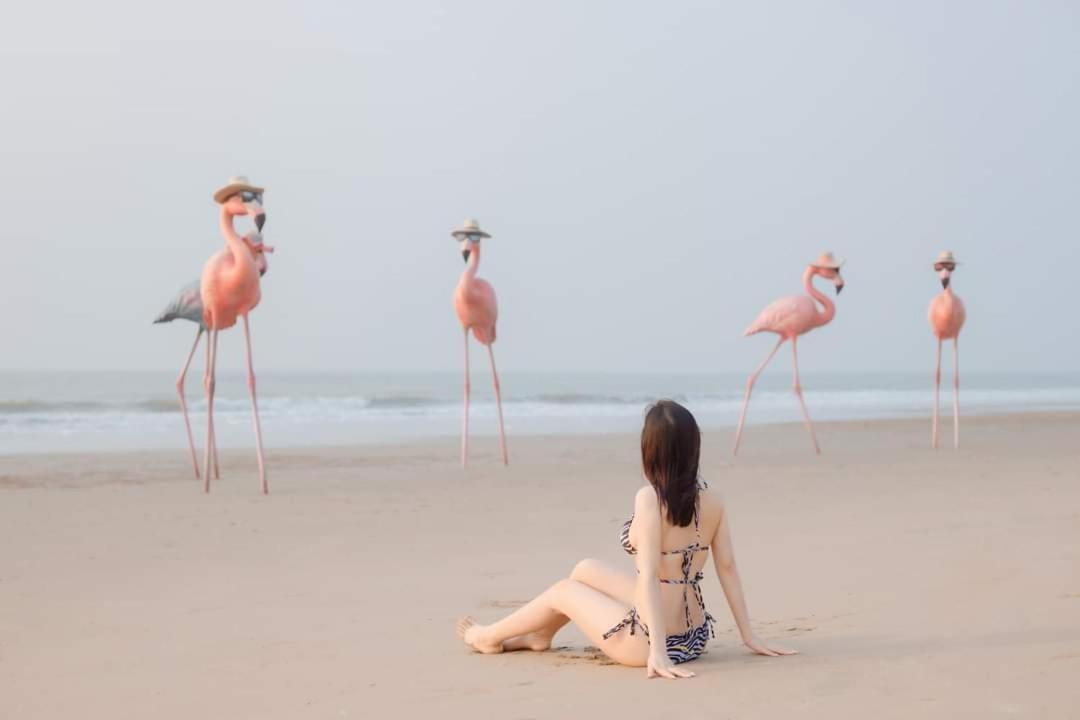 Ib306 Tu Doanh - Flamingo Hai Tien Thanh Hoa Luaran gambar